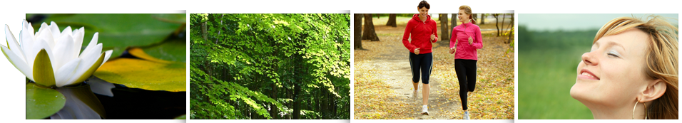 Balanced Well-Being Healthcare Home Page Image