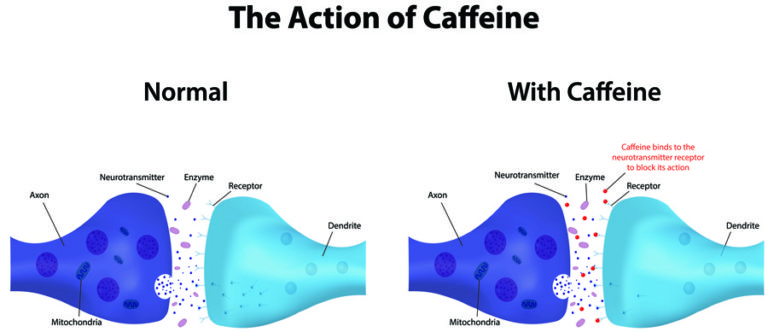 Can Caffeine And Other Stimulants Irritate Your Bowels Balanced Well Being Healthcare